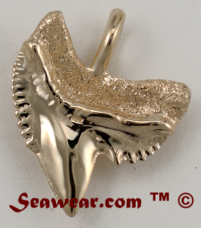 tiger shark tattoo designs. Tiger Shark Tooth Necklace.