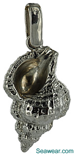 Argentium Silver Conc shell necklace pendant