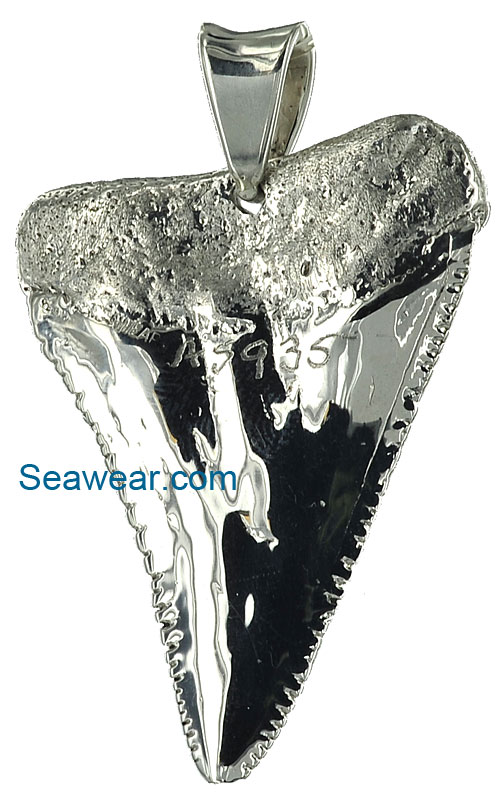 shark teeth pendant