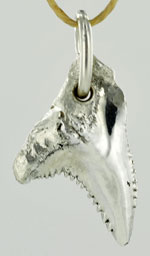 Argentium 935 shark tooth