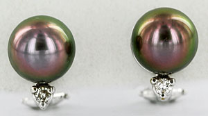 Tahitian pearl and diamond omega back earrings
