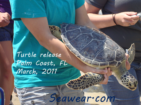 turtle release turtle festival Palm Coast FL