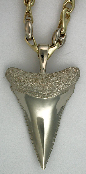 Real Great White Shark Tooth Necklace