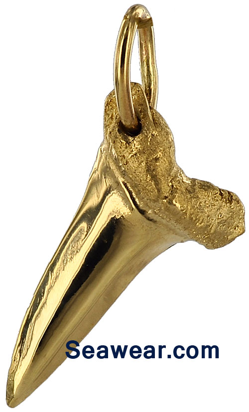 gold mako shark tooth necklace