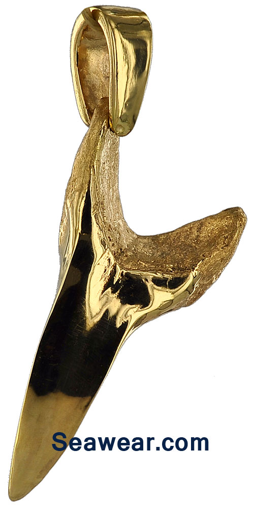 gold mako shark tooth jewelry necklace