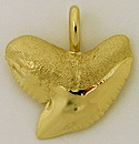 14kt gold snaggle tooth shark tooth 33mm necklace