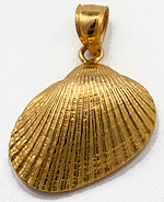 venus shell jewelry charm