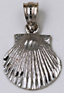small 14kt white gold scallop shell necklace charm