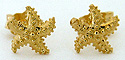 14kt perfect starfish earrings by Seawear.com